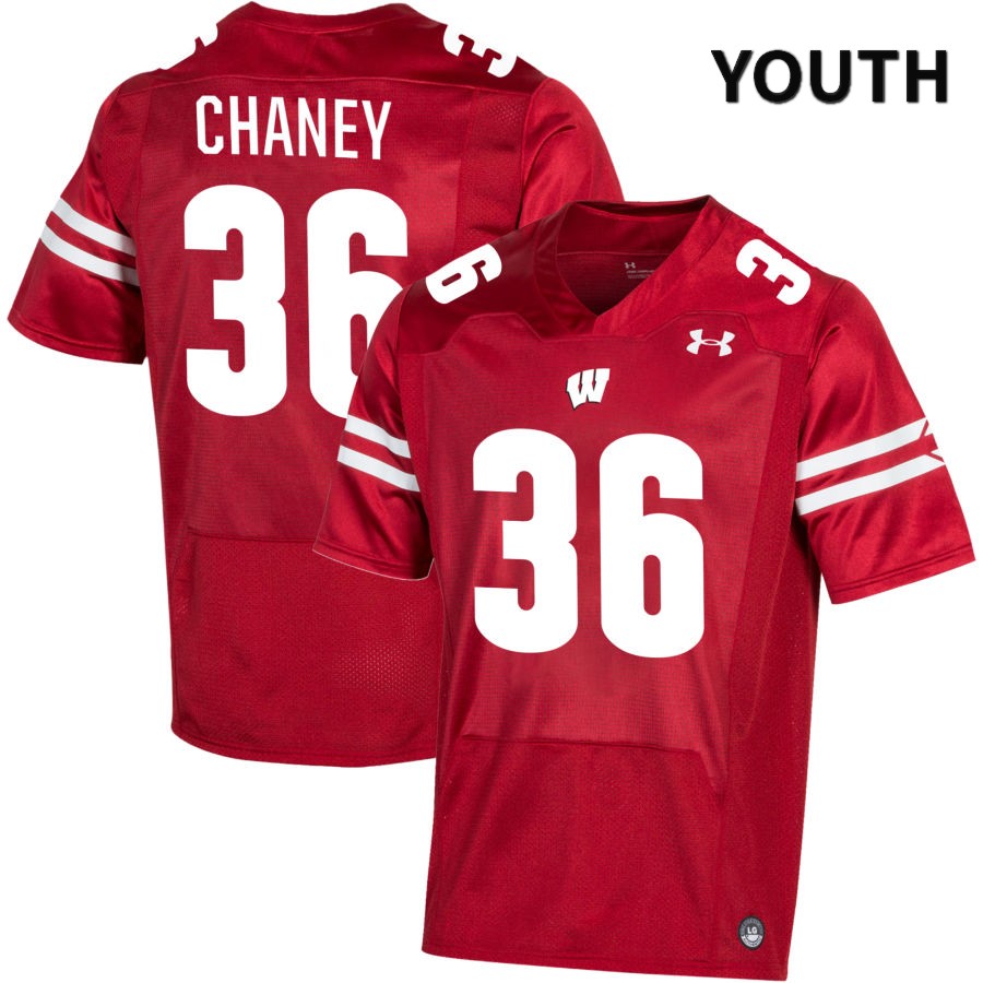 Wisconsin Badgers Youth #36 Jake Chaney NCAA Under Armour Authentic Red NIL 2022 College Stitched Football Jersey EV40G85VP